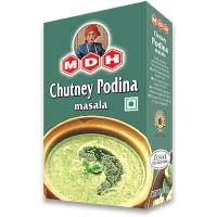 MDH Pudina (Mint) Chutney Masala 100g - theMintLeaves.com